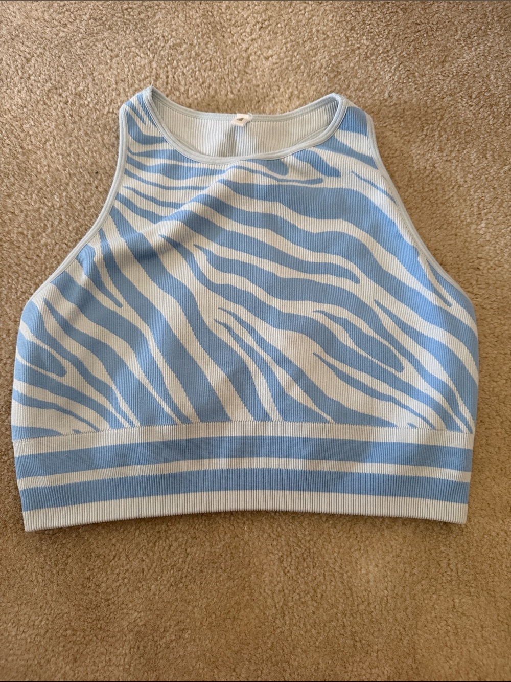 Spiritual Gangster Light Blue and White Zebra Ribbed Crop Tank/Bra